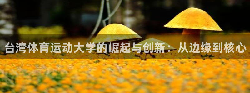 3377体育手机平台