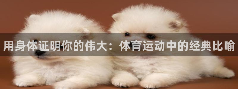 3377体育app官方下载