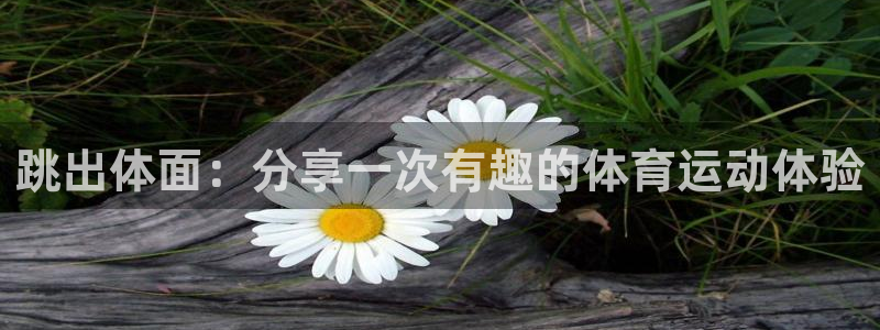 3377体育app下载安装