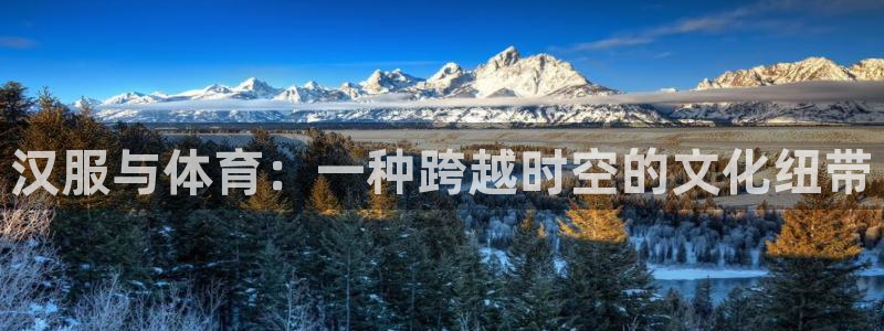 3377体育app登录入口