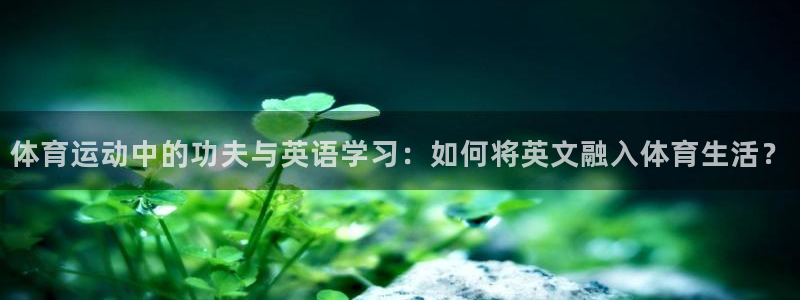 3377体育是正规平台吗