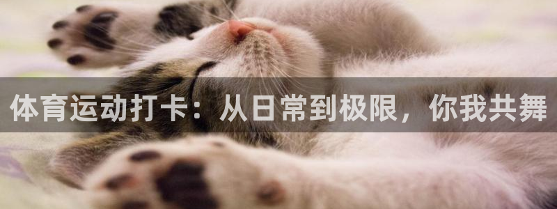 3377体育app下载安装