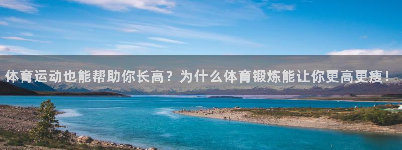 3377体育官网下载