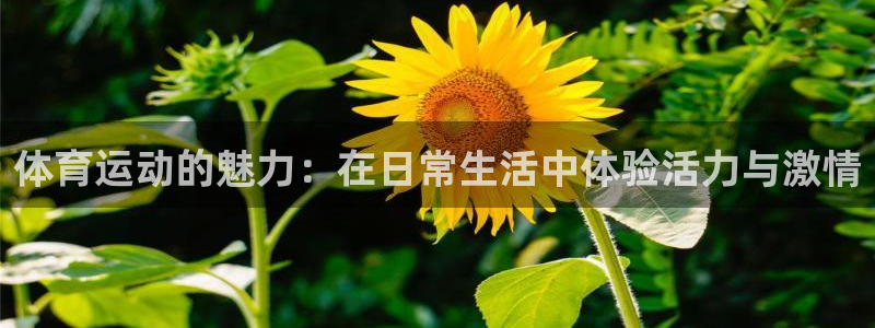 3377体育app官网下载地址