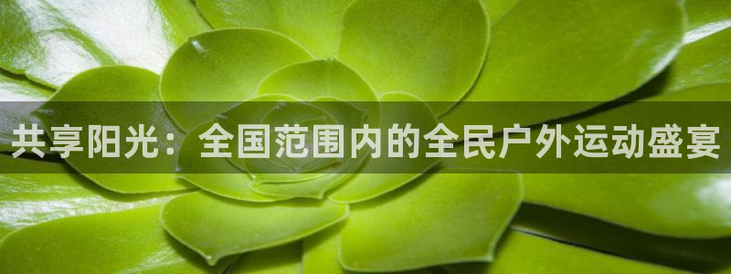 3377体育官网入口网页版