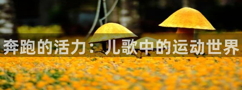 3377体育网页登录入口