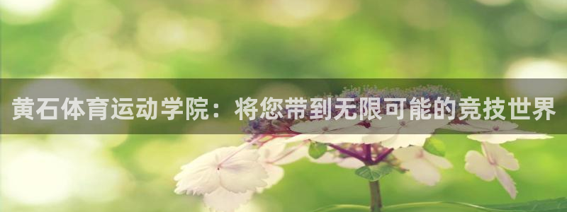 3377体育中国官方网站入口