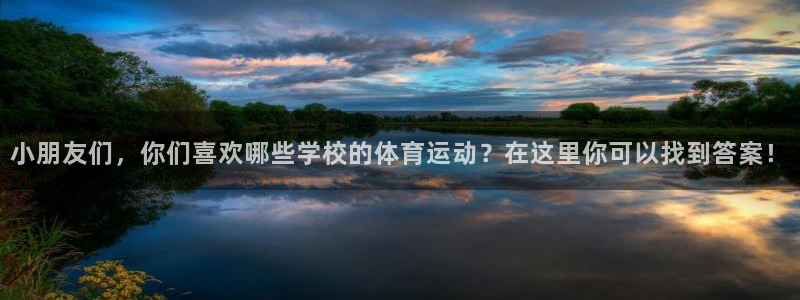 3377体育官网入口网页版