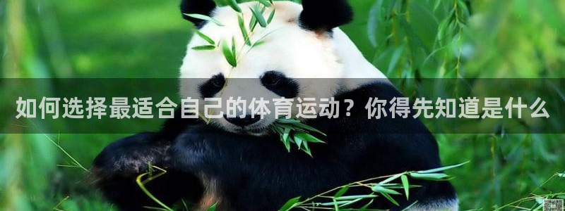3377体育靠谱吗