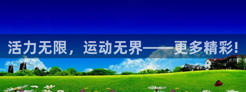 3377体育全网