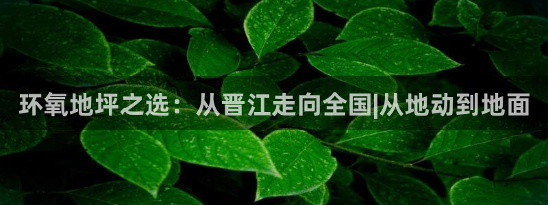 3377体育中国官方网站入口